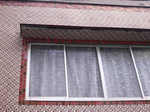 resize0154.jpg