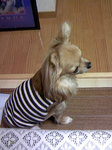 resize0191.jpg