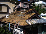 resize0232.jpg