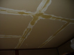 resize0257.jpg