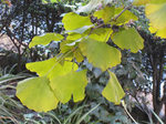 resize0299.jpg