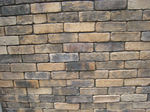 resize0481.jpg