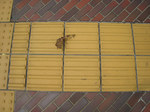 resize0484.jpg