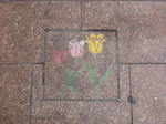 resize0492.jpg